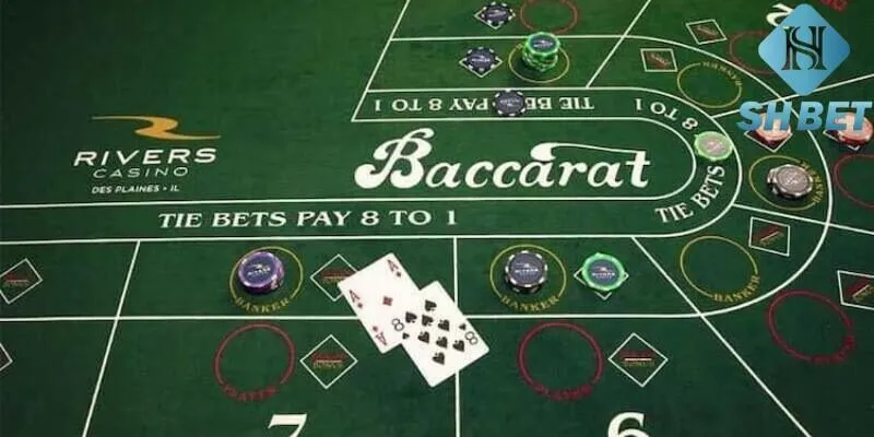 Baccarat Là Gì? SHBET Hướng Dẫn Cách Chơi Cơ Bản Cho Newbie